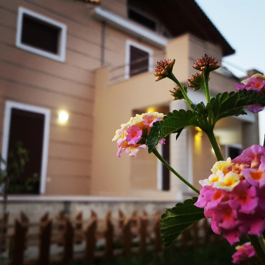 Villa Luna Kalamaki  Luaran gambar